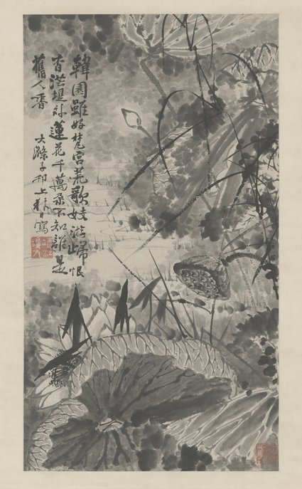 原济墨荷图轴